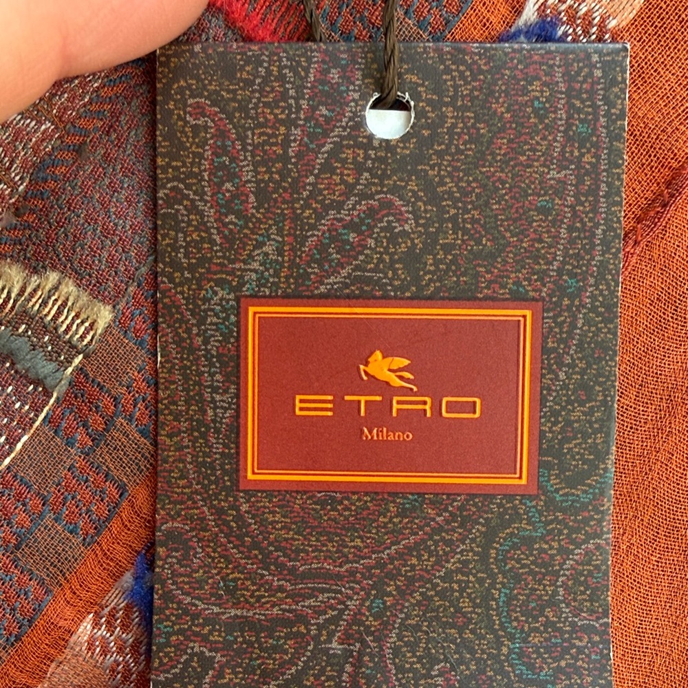 Etro NWT Vibrant Long Rust/Orange Scarf with Multicolor Embroidery - Picture 4 of 16
